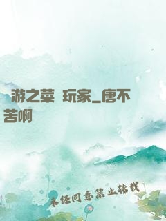 網游之菜鳥玩家