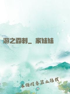 網游之霸刺