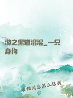 網游之黑道混混