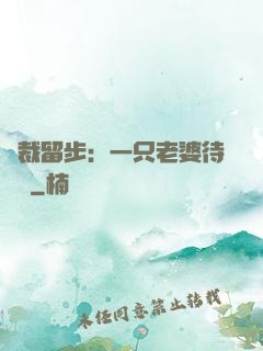 總裁留步：一只老婆待領養