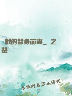 總裁的替身前妻