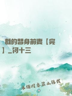 總裁的替身前妻【完結】