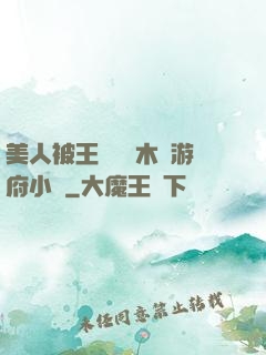 美人被王爺罰騎木驢游府小說