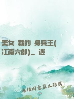 美女總裁的貼身兵王(江南六郎)