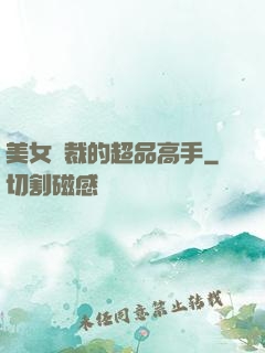 美女總裁的超品高手