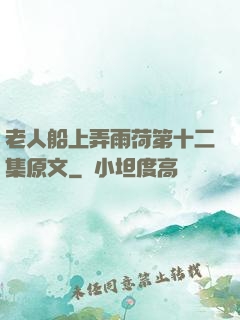 老人船上弄雨荷第十二集原文