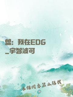 聯盟：我在EDG當廠長
