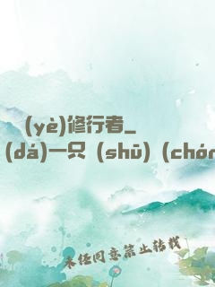 職業(yè)修行者
