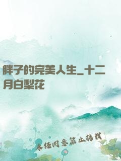 胖子的完美人生