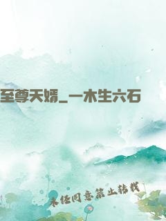 至尊天婿