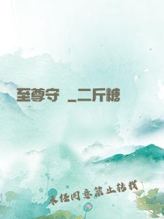 至尊守護