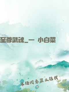 至尊武魂
