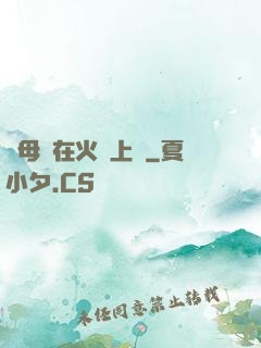 與母親在火車上鋪