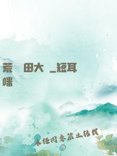 荒島種田大戶
