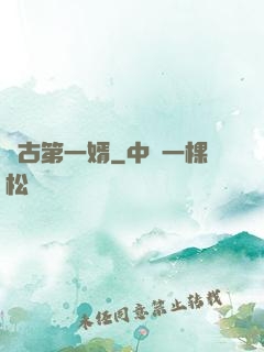 萬古第一婿