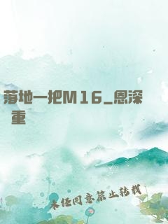 落地一把M16