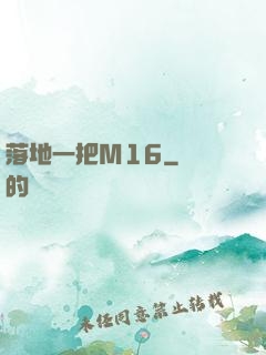 落地一把M16