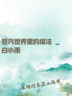 蒸汽世界里的魔法師