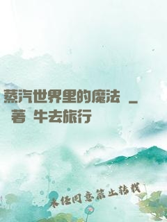蒸汽世界里的魔法師