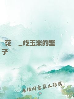 蓮花寶鑒
