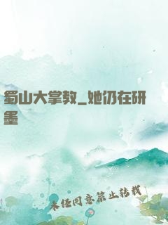 蜀山大掌教