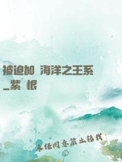 被迫加載海洋之王系統