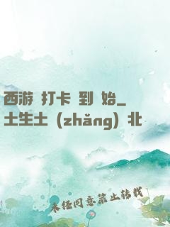 西游從打卡簽到開始