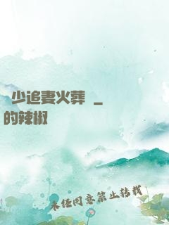 謝少追妻火葬場