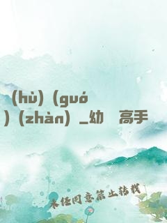 護(hù)國(guó)戰(zhàn)龍