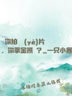 讓你拍畢業(yè)片，你拿金熊獎？