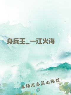貼身兵王