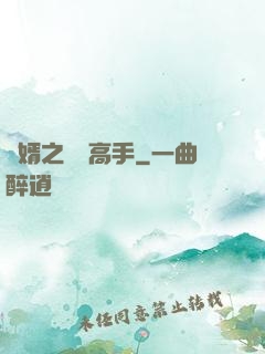 贅婿之無敵高手