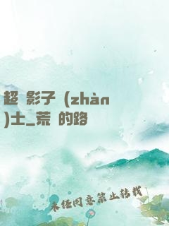 超級影子戰(zhàn)士