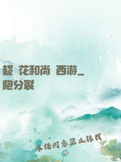 超級花和尚闖西游