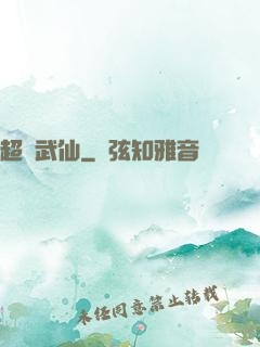 超維武仙