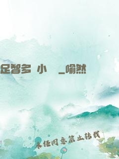 足智多謀小國師
