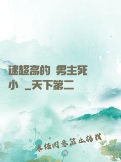 車速超高的雙男主死對頭小說