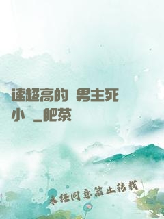 車速超高的雙男主死對頭小說