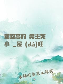 車速超高的雙男主死對頭小說