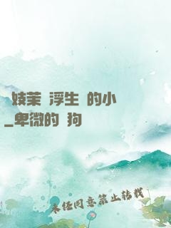 軍妓茉兒浮生夢的小說