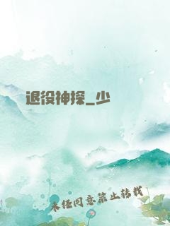 退役神探