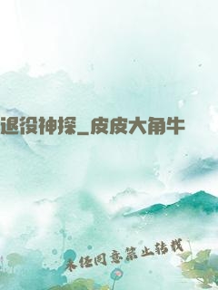 退役神探