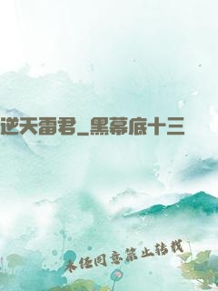 逆天雷君