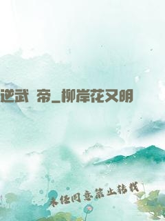 逆武戰帝
