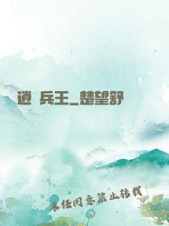 逍遙兵王