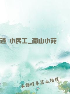透視小民工