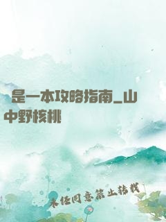 這是一本攻略指南