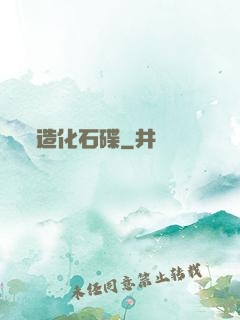 造化石碟