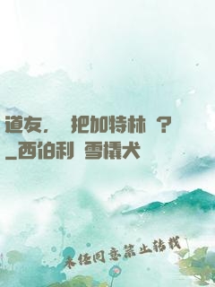 道友，買把加特林嗎？