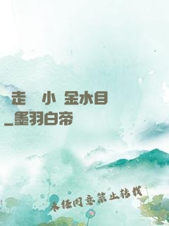 邊走邊愛小說金水目錄